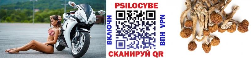 где продают наркотики  Воскресенск  Псилоцибиновые грибы Magic Shrooms 