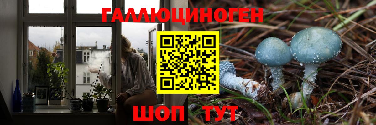 Галлюциногенные грибы GOLDEN TEACHER  Галлюциногенные грибы ЛСД  Вход с VPN  где купить наркоту  Воскресенск 